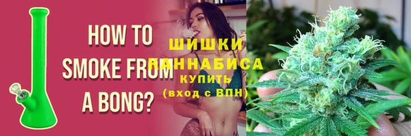 индика Абаза