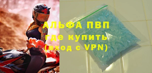 индика Абаза