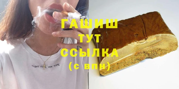 индика Абаза