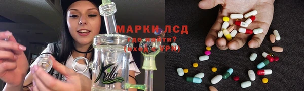 индика Абаза