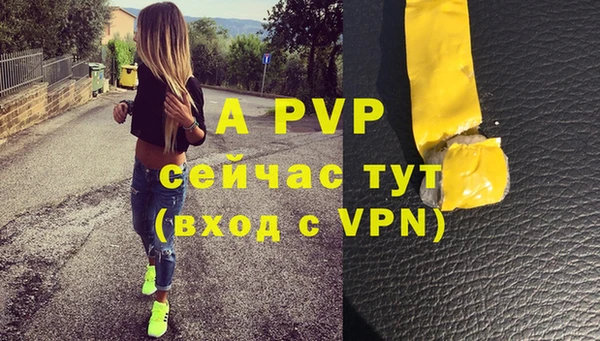 индика Абаза