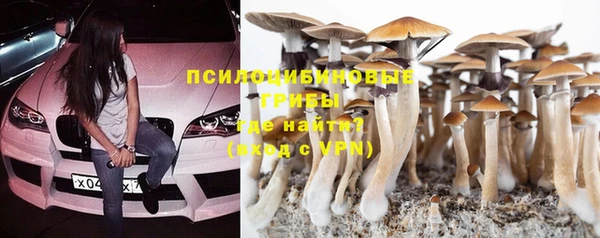 МДПВ Абдулино