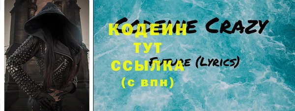 индика Абаза