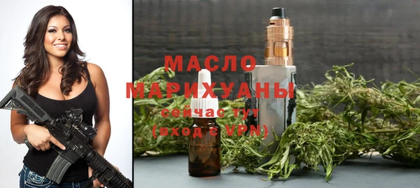 индика Абаза