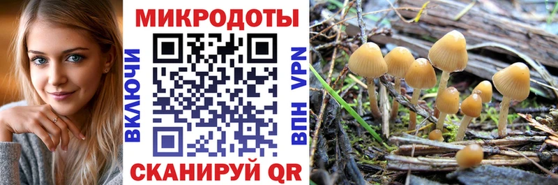 Галлюциногенные грибы ЛСД  Агрыз 